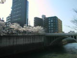 030406 012.jpg